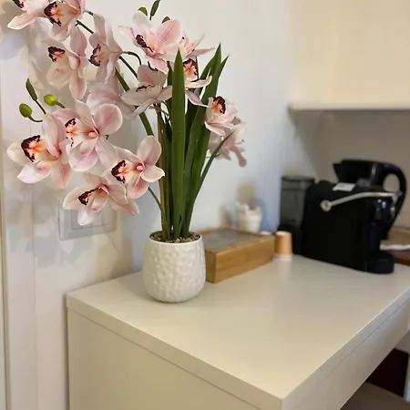 Bed & Breakfast Sayonara