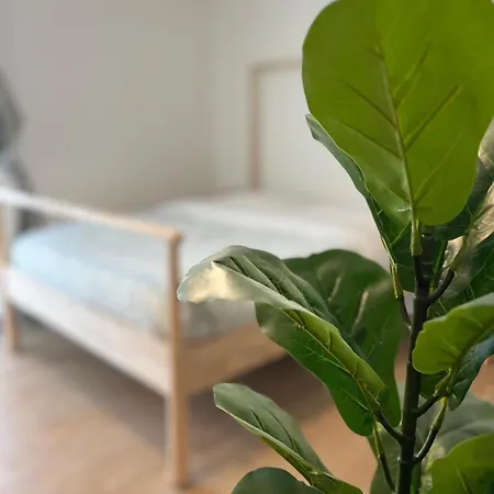 Sayonara Bed & Breakfast