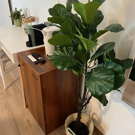 Bed & Breakfast Sayonara