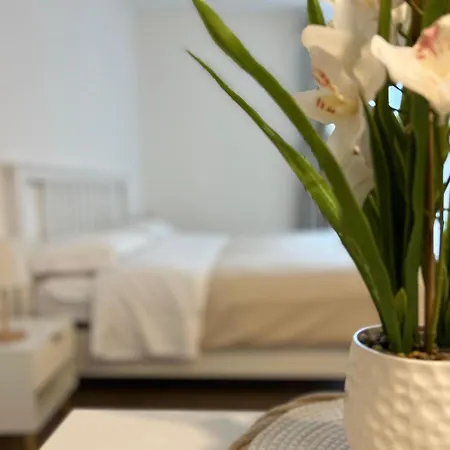 Nocleg ze śniadaniem Sayonara Chieti