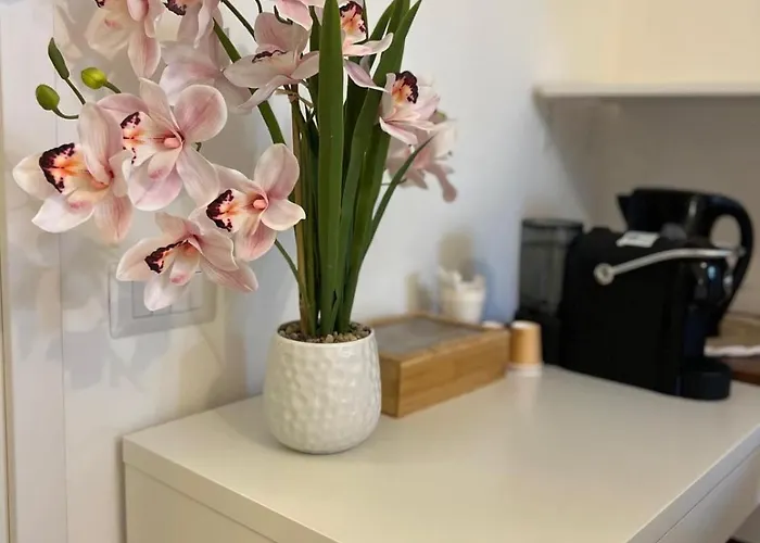 فندق مبيت وإفطار Sayonara