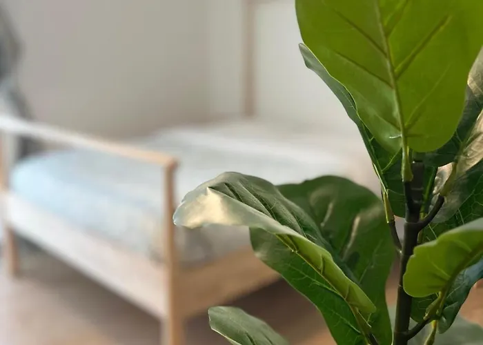 Sayonara فندق مبيت وإفطار