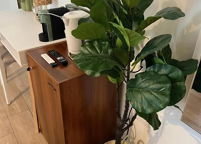 فندق مبيت وإفطار Sayonara