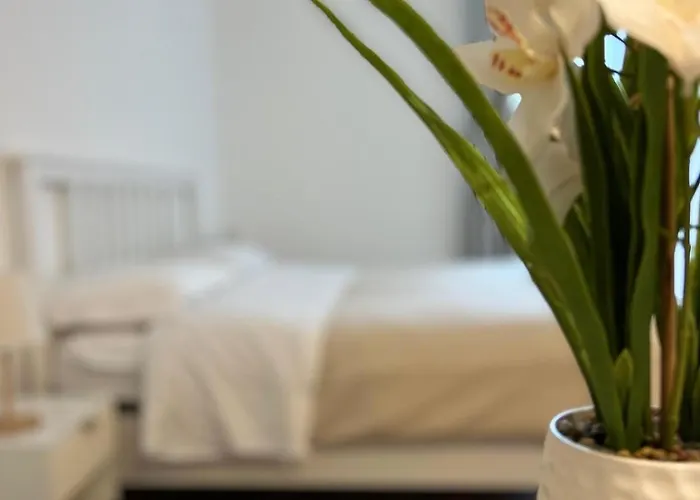 Oda ve Kahvaltı Sayonara Chieti